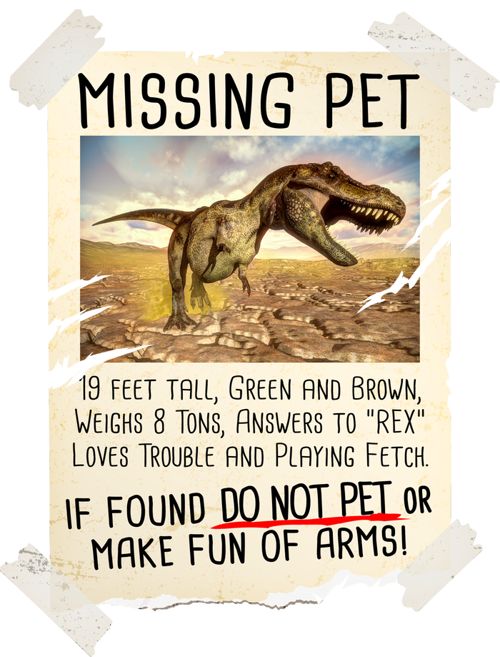 Funny Missing Pet T-Rex Dinosaur Bumper Sticker