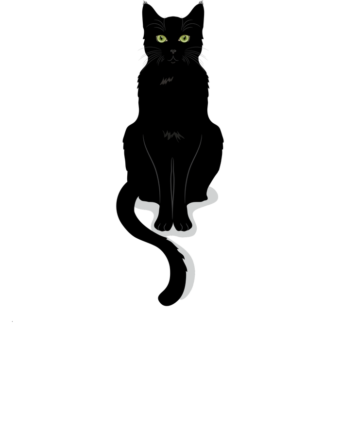 Mother of Cats Funny Cat Lover Poster