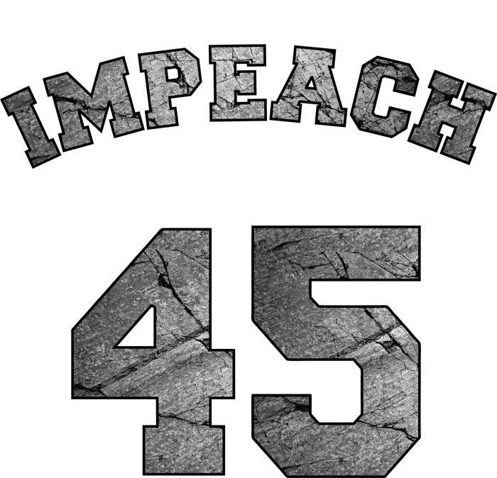 Impeach 45 Stone Logo Anti Trump Impeachment Kids Hoodie