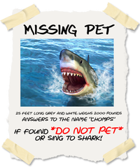 Missing Pet Funny Great White Shark  Poster