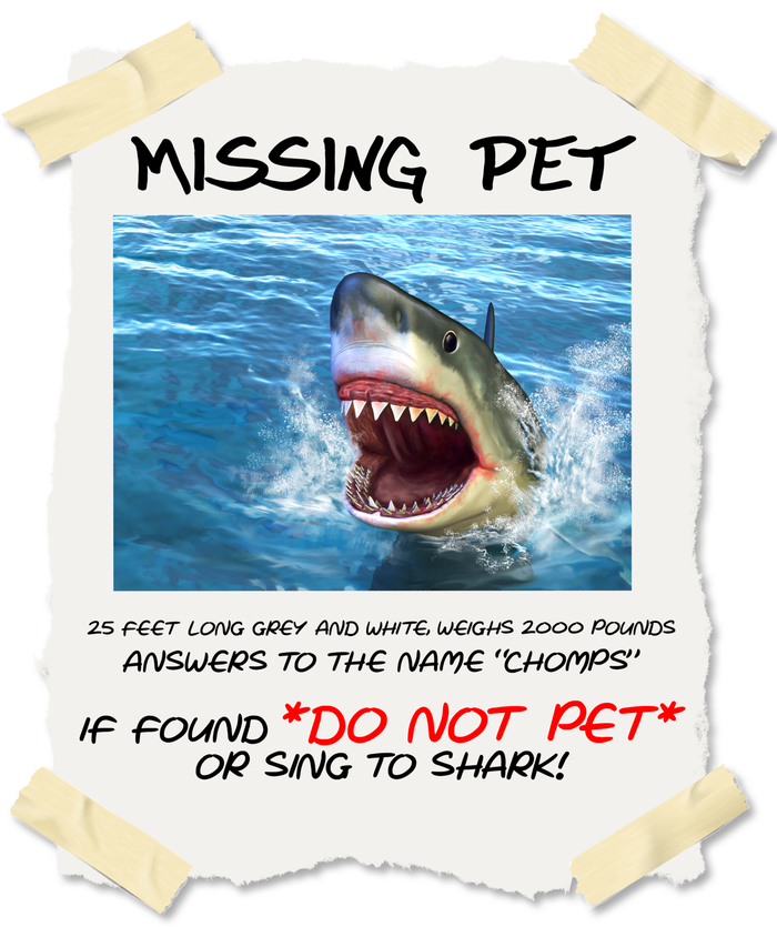 Missing Pet Funny Great White Shark  Poster