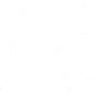 I'm Not Short I'm Leprechaun Size Funny Irish T-Shirt