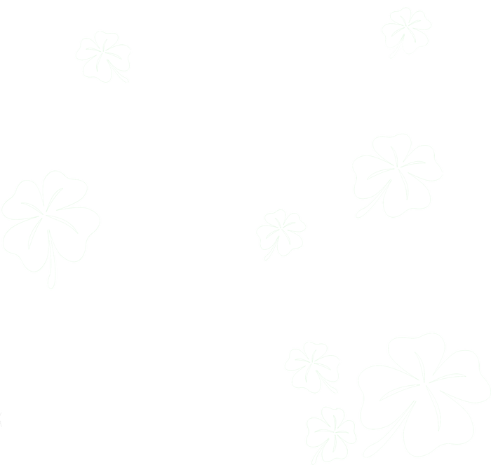 I'm Not Short I'm Leprechaun Size Funny Irish T-Shirt