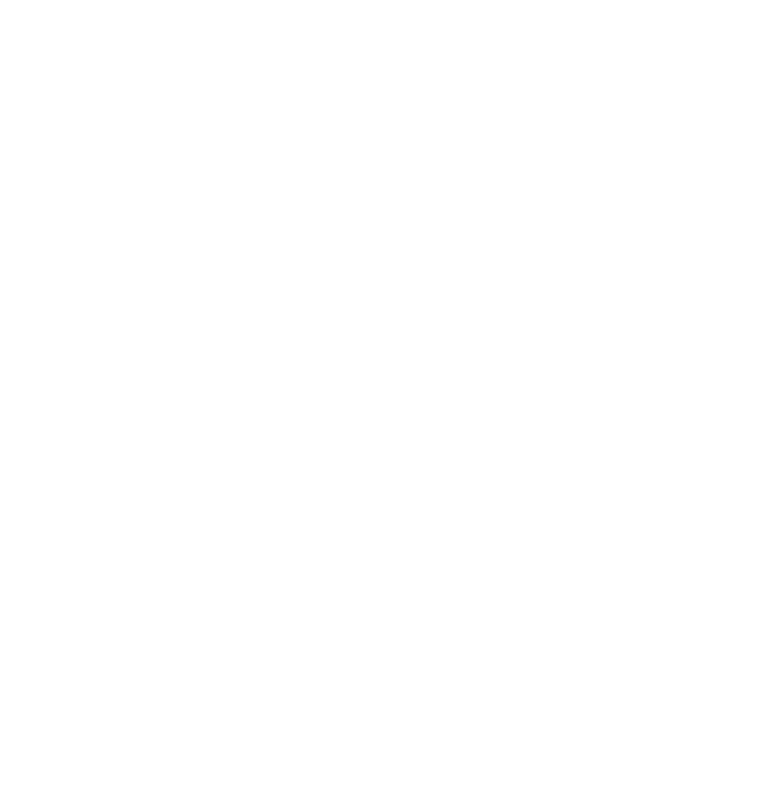 2nd Amendment America's Original Homeland Security Button