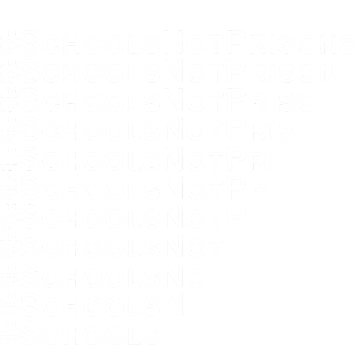 Schools Not Prisons Premium Hoodie