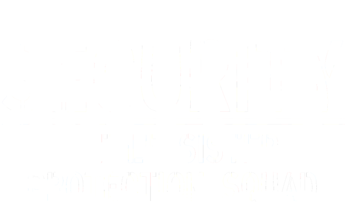 SECURITY Little Sister Protection Squad Funny Big Brother T-Shirt