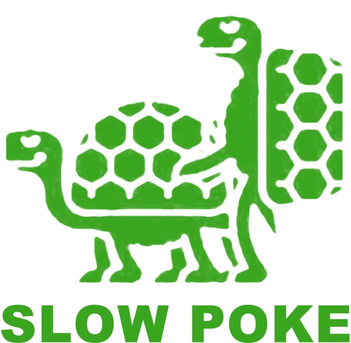 Slow Poke Funny Turtle USA-Made Snowflake Beanie