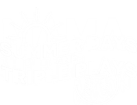 Summer Days And Triple Plays T-Shirt