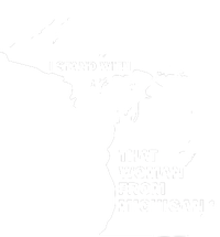 I Stand With That Woman From Michigan Social Justice Womens Funnel Neck Pullover Hood