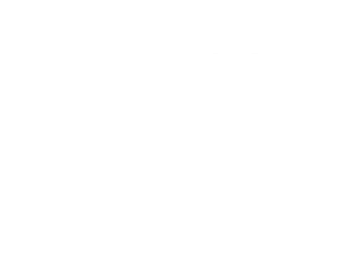 The Best Man Ladies Essential Tank