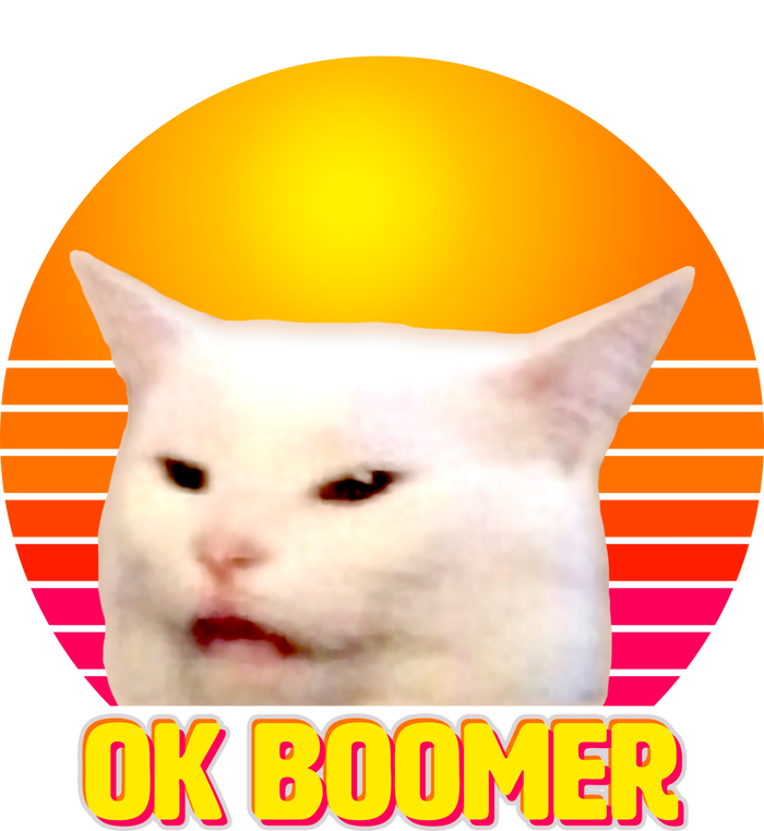 Funny Retro Table Cat OK Boomer Meme Canvas