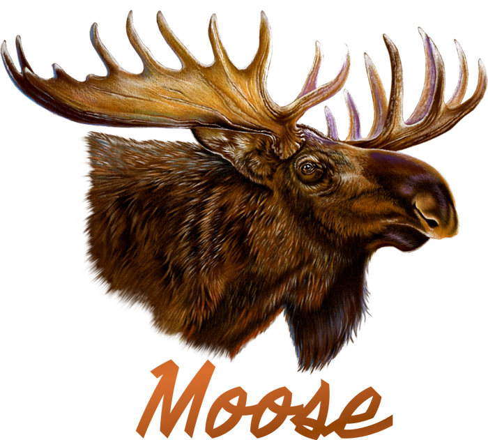 Wildlife - Moose Head Portrait Cooling Performance Long Sleeve Crew