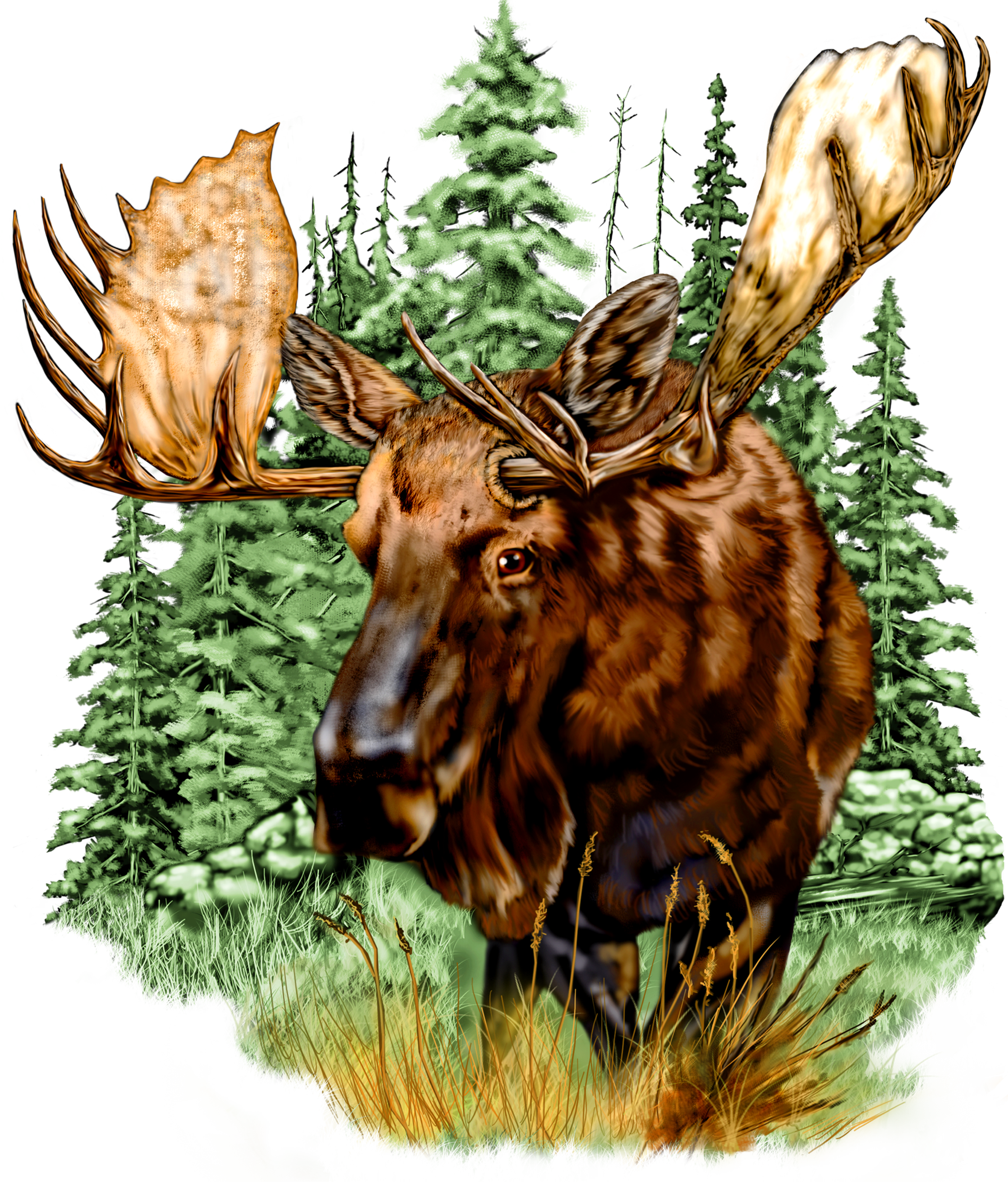 Wildlife - Moose Portrait T-Shirt