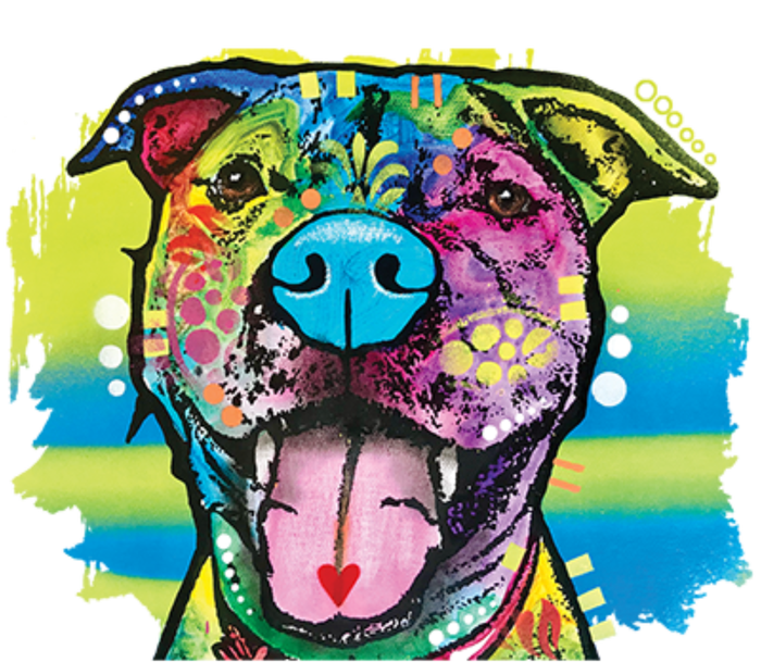 Colorful Happy Pitbull Kids T-Shirt