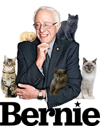 Funny Bernie Sanders Cats T-Shirt