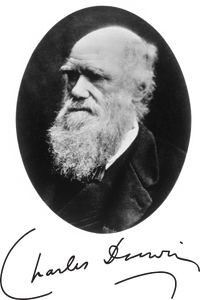 Charles Darwin Portrait Signature Evolution Atheist Science Microfiber Hand Towel