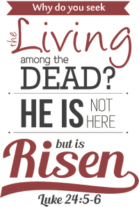 Seek Living Among Dead He Is Risen Jesus Tall Long Sleeve T-Shirt