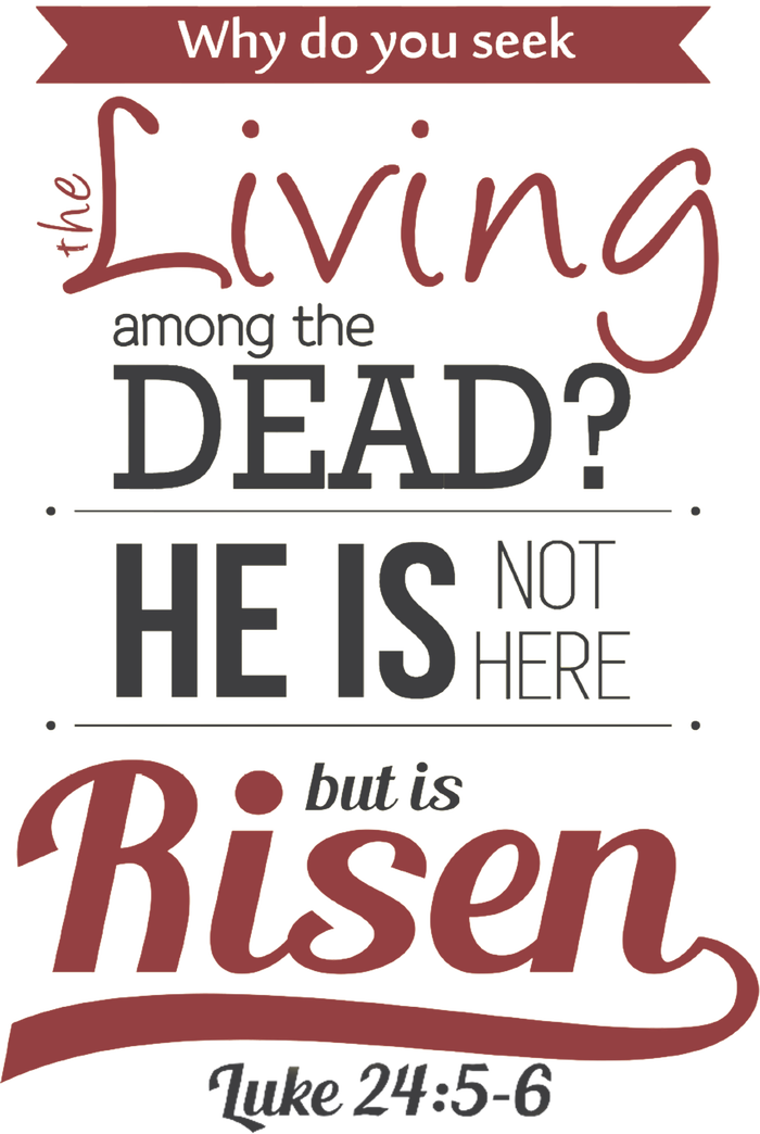 Seek Living Among Dead He Is Risen Jesus Tall Long Sleeve T-Shirt