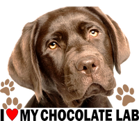 I Love My Chocolate Lab Bumper Sticker