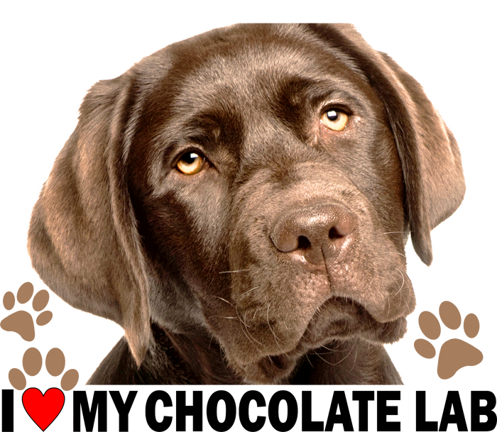 I Love My Chocolate Lab Bumper Sticker