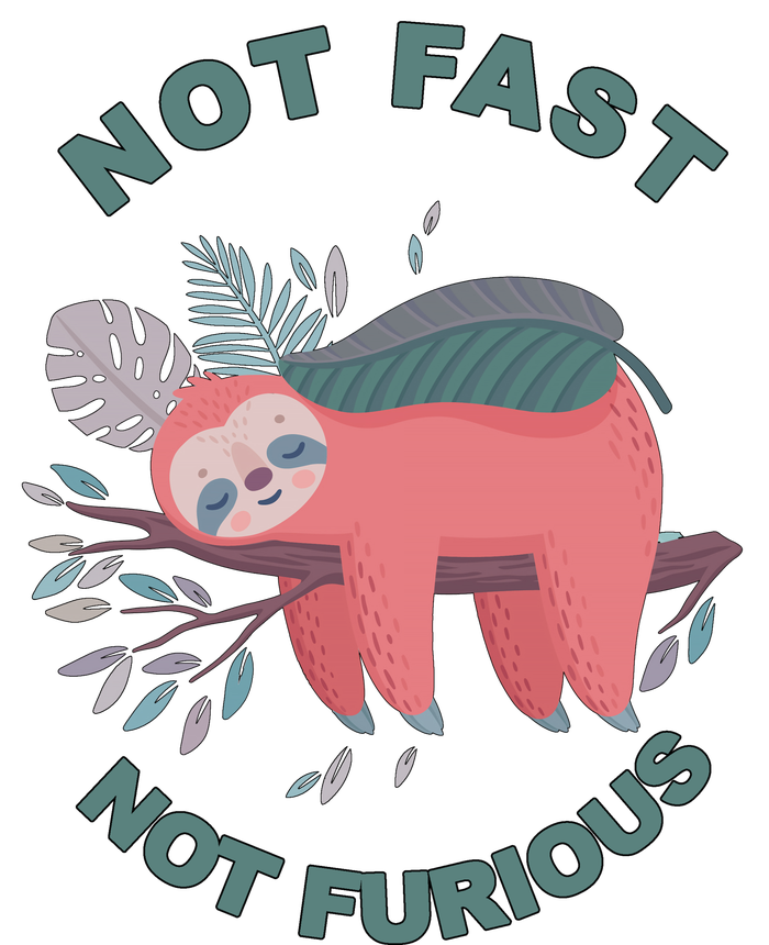 Not Fast Not Furious Sloth Cute T-Shirt