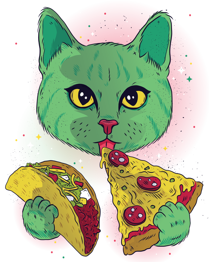 Cosmic Pizza Taco Space Cat Baseball Sleeve Shirt