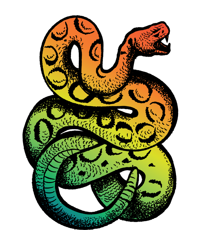 Rainbow Rattlesnake Hoodie