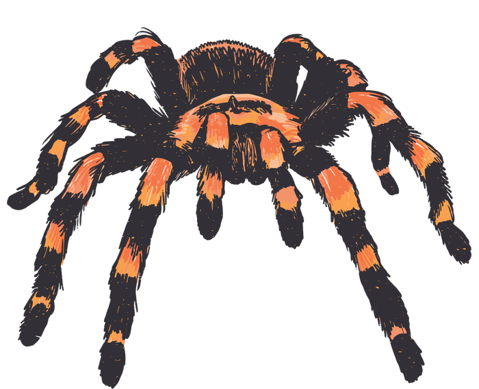 Realistic Tarantula Tank Top