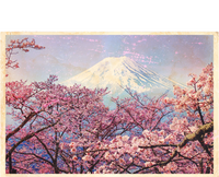 Vintage Japanese Mt. Fuji & Cherry Blossoms T-Shirt