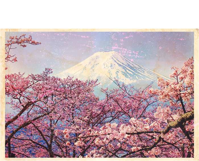 Vintage Japanese Mt. Fuji & Cherry Blossoms T-Shirt