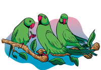 Three Parrots Pajama Set