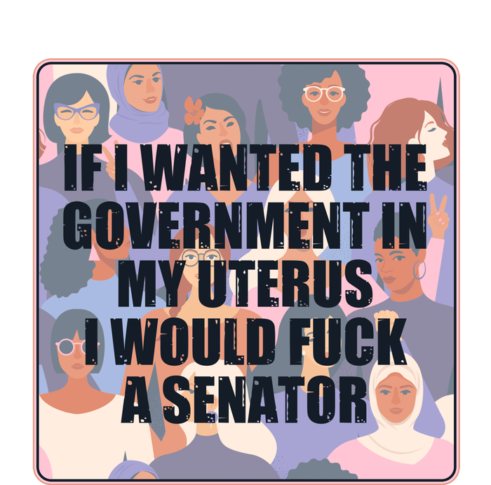 If I Wanted The Government In My Uterus I Would Fuck A Senator Women's T-Shirt