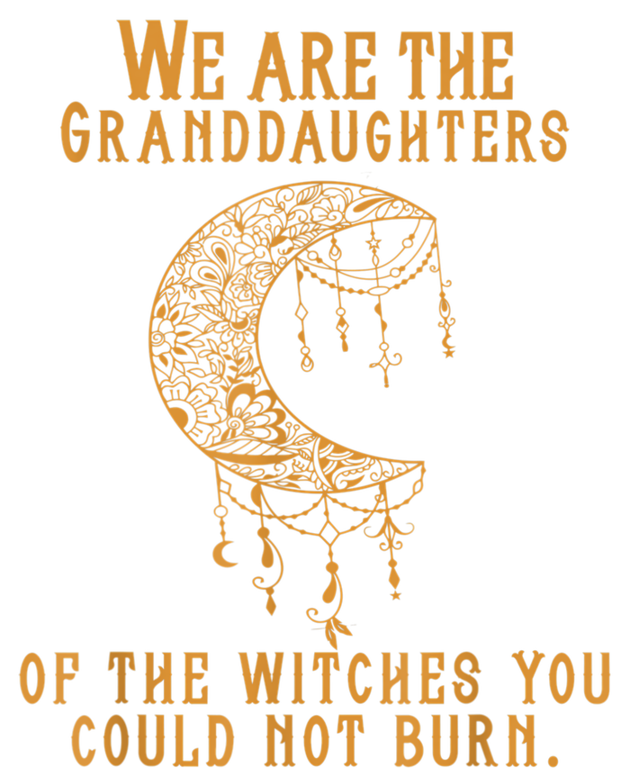 We Are The Granddaughters Of The Witches You Could Not Burn Valucap Bio-Washed Visor