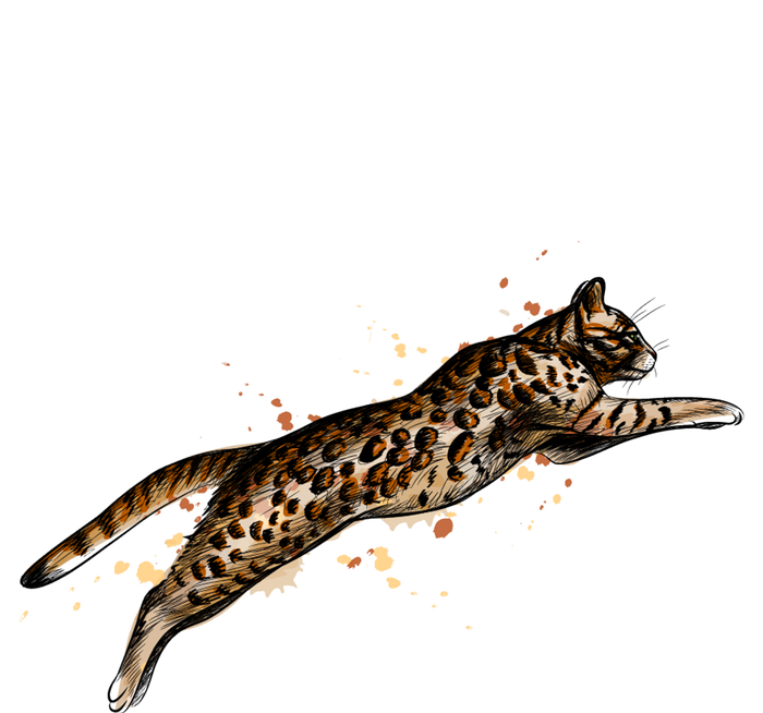 Bengal Cat Jumping From A Splash T-Shirt