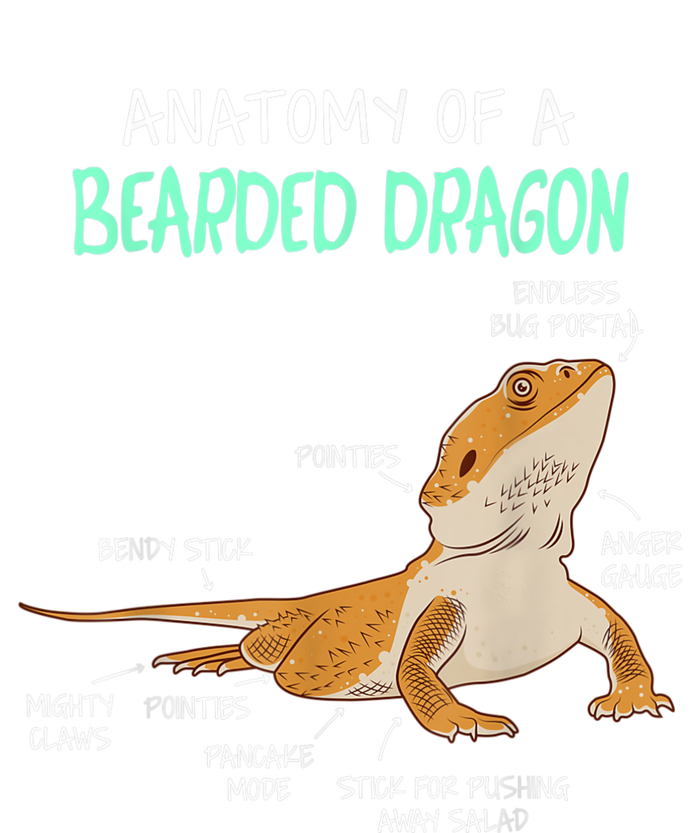 Anatomy Of A Bearded Dragon Bearded Dragon Lizard Pogona Reptile Striped Beanie with Solid Band