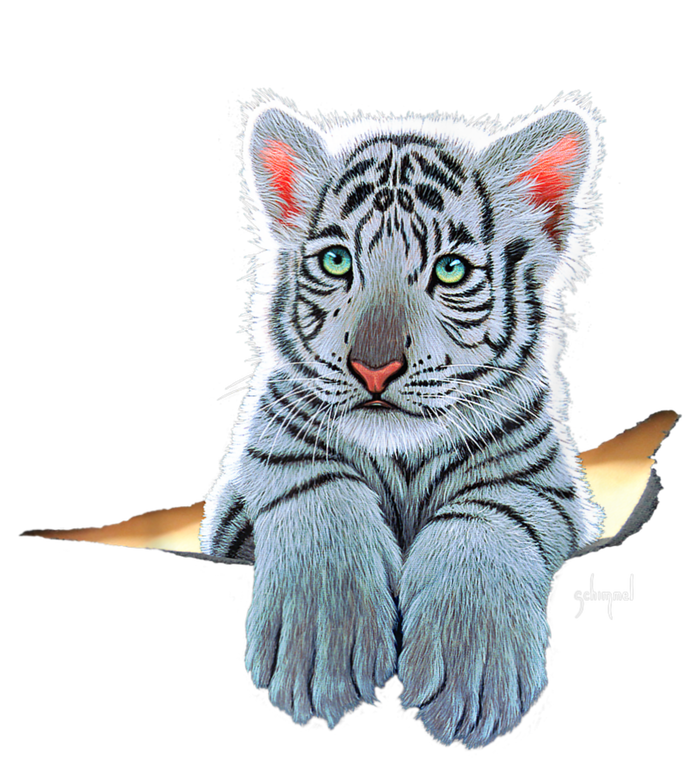 Schim Schimmel Original Artwork, White Tiger Cub T-Shirt