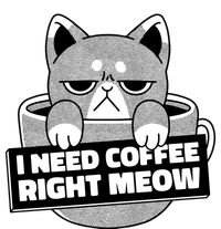 I Need Coffee Right Meow T-Shirt