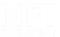 NFT Collector T-Shirt