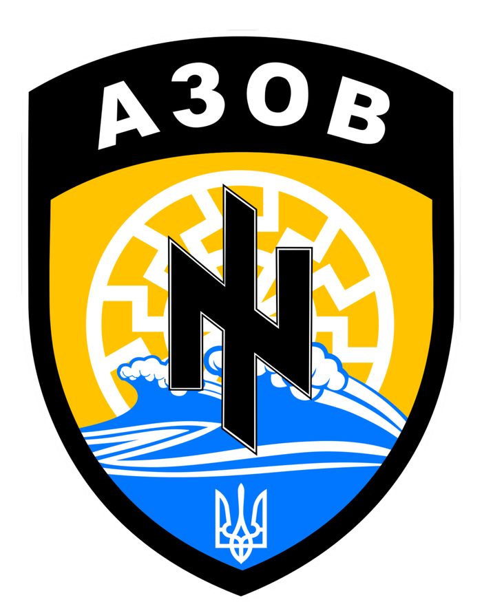 Azov Battalion Support Ukraine Military Softstyle Adult Sport Polo