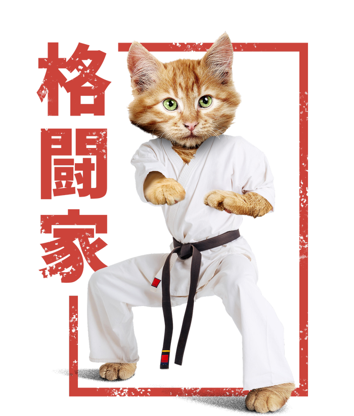 Karate Cat Sweatshirt