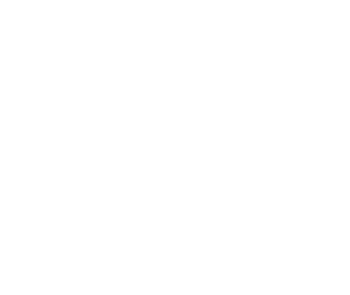 Amsterdam Gift Vintage Retro Bicycle Bike Netherlands Gift Button