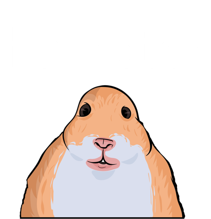 Hampter Funny Hamster Dank Meme Cute Gift Sweatshirt Cinch Pack Bag