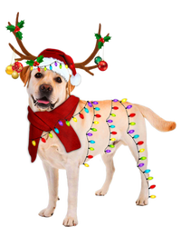 Santa Labrador Retriever Reindeer Light Christmas T Long Sleeve Shirt