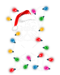 Christmas Lights Dog French Bulldog Hoodie