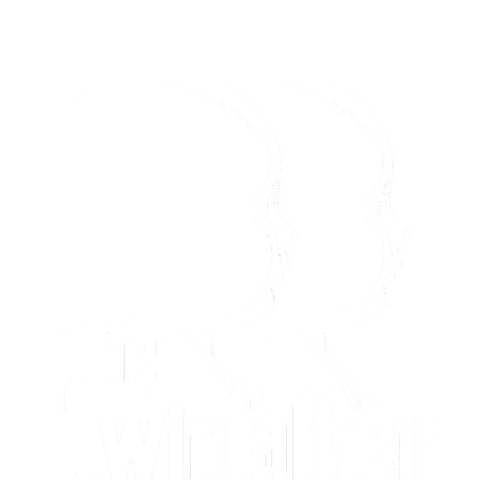 Mens The Twinfather Funny Father Of Twin Dad Gift T-Shirt