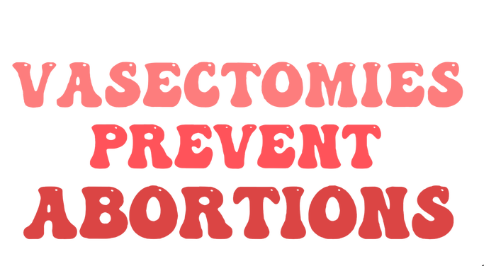 Vasectomies Prevent Abortions Hoodie