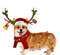 Santa Corgi Reindeer Light Christmas Gift T-Shirt