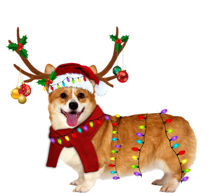 Santa Corgi Reindeer Light Christmas Gift T-Shirt