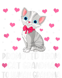 Womens Promoted From Cat Grandma To Human Grandma Funny Cat Tank Top