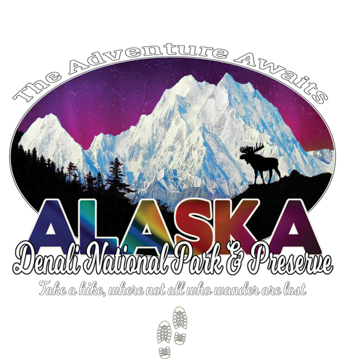 Denali Alaska Aurora Borealis National Park Hiker Souvenir Cute Gift Ladies Long Sleeve Shirt